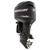 Mercury 200 OptiMax small