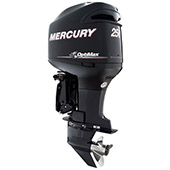 Mercury 250 L small