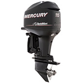 Mercury 115 OptiMax small