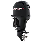 Mercury F 115 small